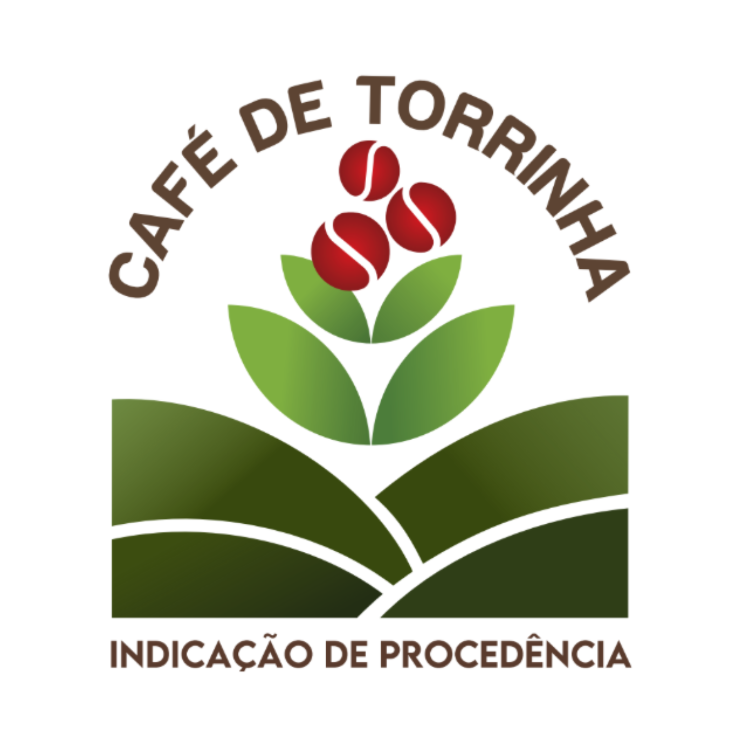 Café de Torrinha