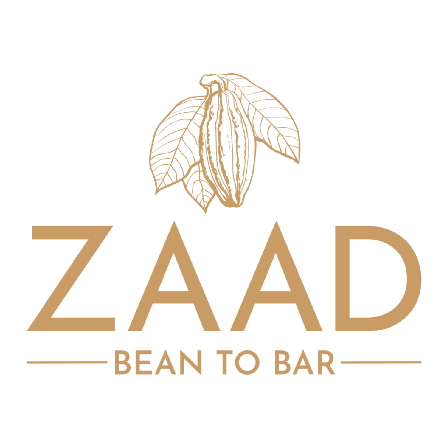 Zaad Bean To Bar