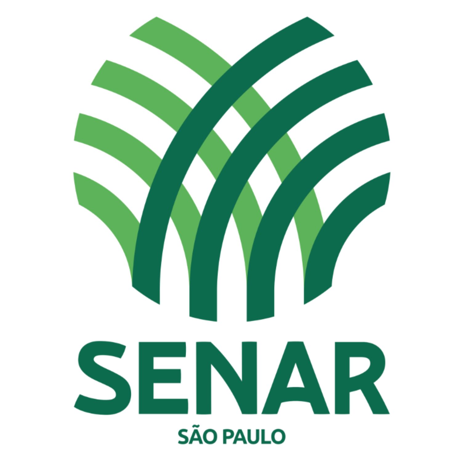 Senar