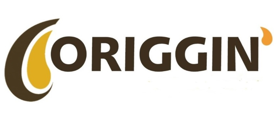 Origgin